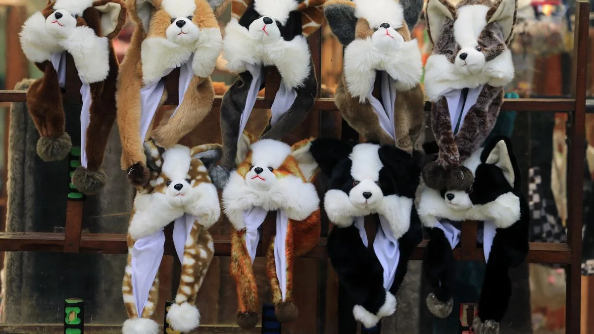 Sadık Dost Köpek Eğitim Merkezi — temsili ortam görseli 2