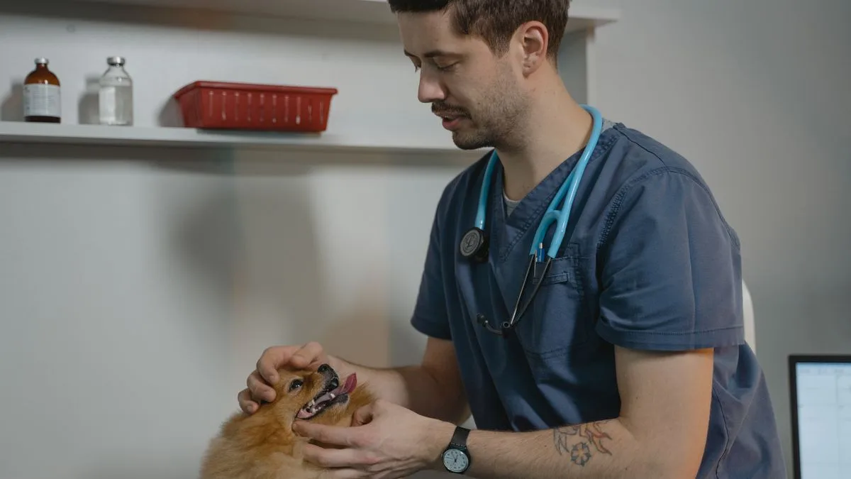 Mırmır & Hav Pet Spa — temsili ortam görseli 8
