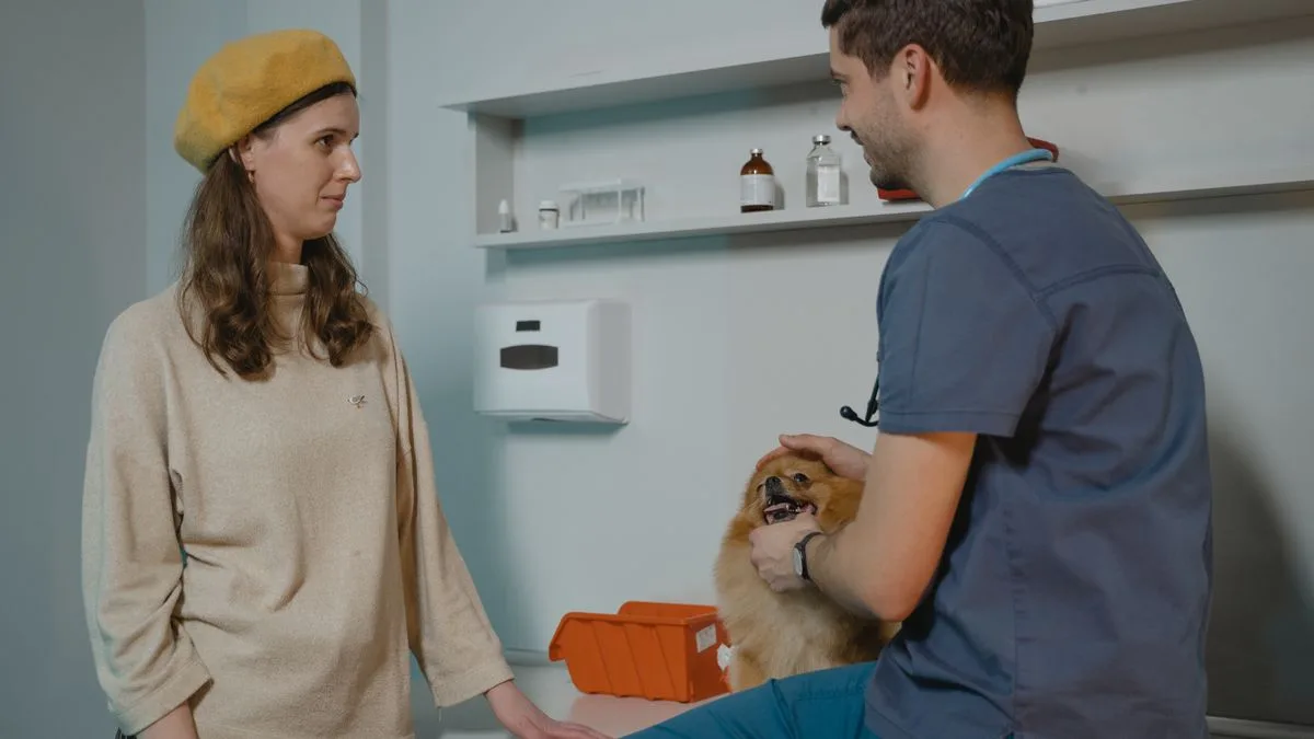 Mırmır & Hav Pet Spa — temsili ortam görseli 2
